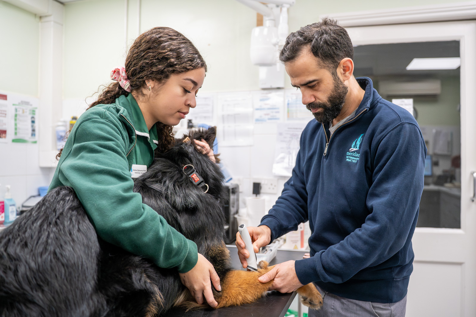 Meridian Veterinary Practice (Web) 010