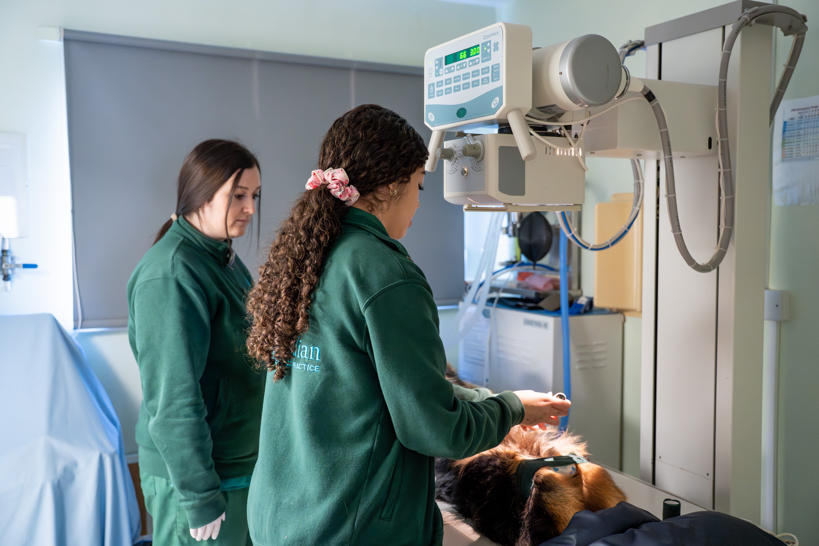 Meridian Veterinary Practice (Web) 025