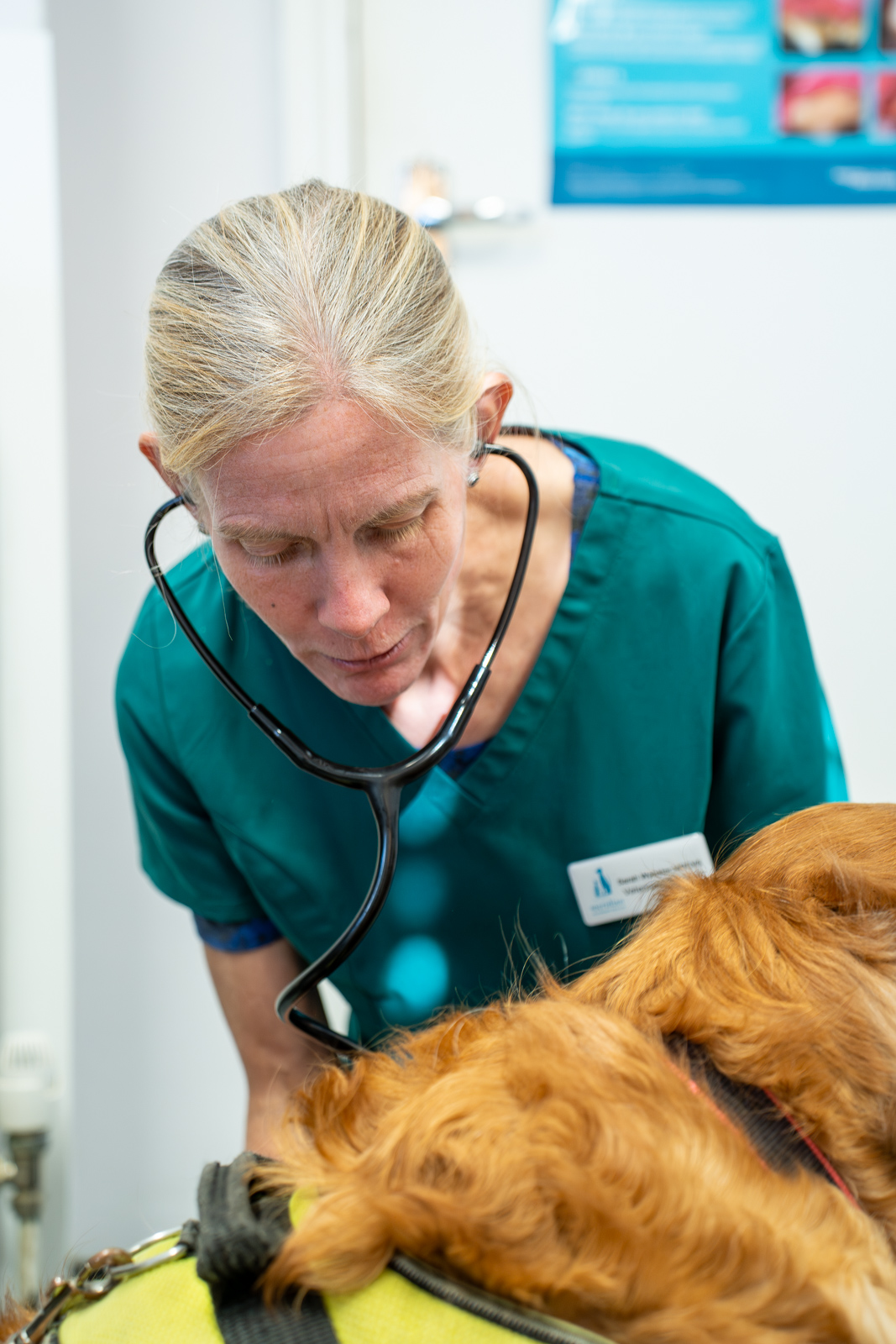 Meridian Veterinary Practice (Web) 070