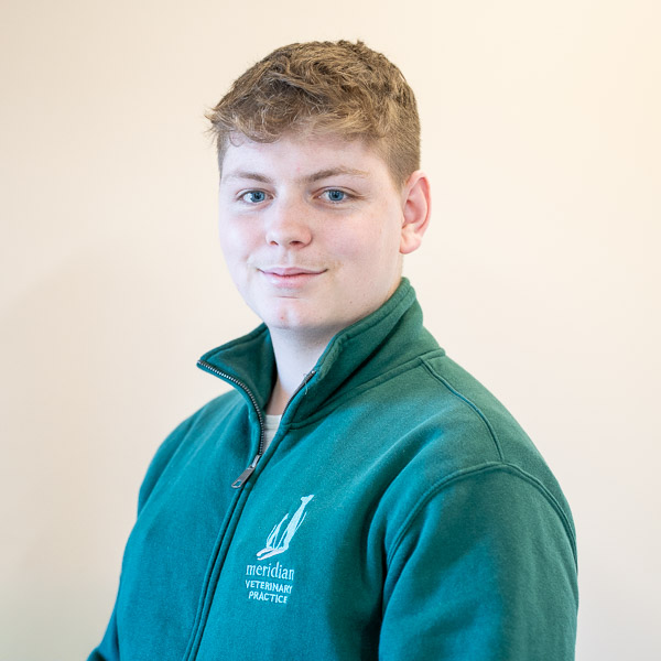 Ryan Brown - Meridian Veterinary Clinic(Web)